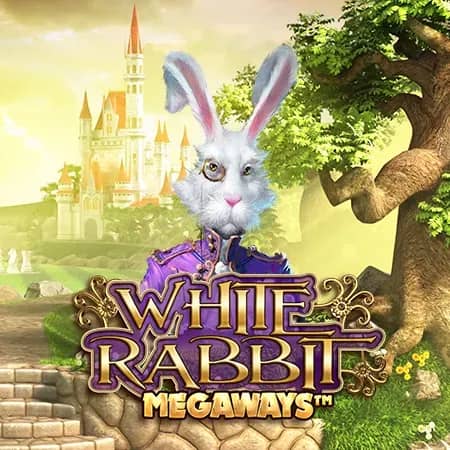 White Rabbit